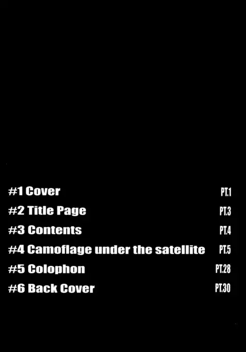 ZONE 46 Camouflage under the satellite