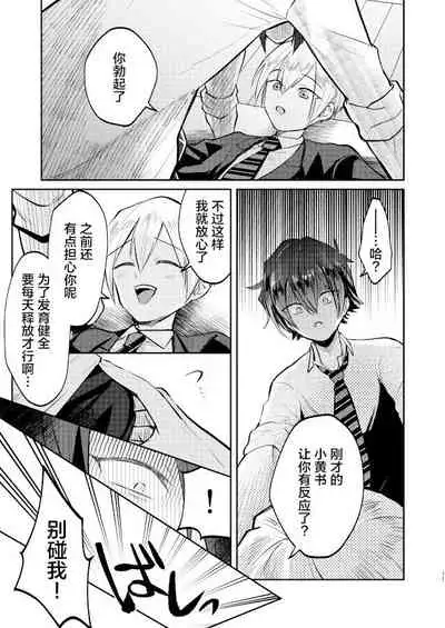 Furyou Shounen to Gakkyuu Iinchou no Himitsu