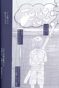 [Devil May Cry] Fragment (VergilxDante)