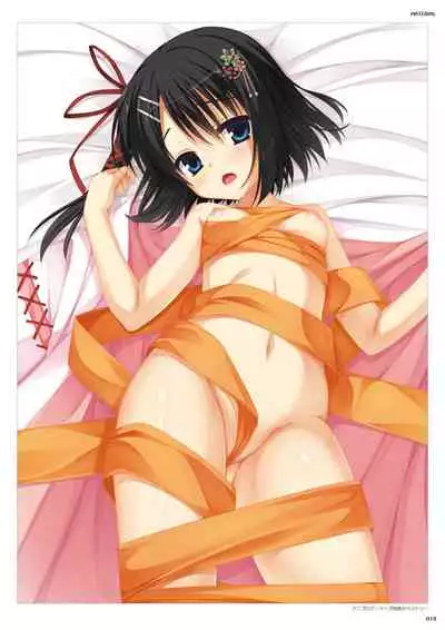 DRACU-RIOT! Official Visual Fan Book