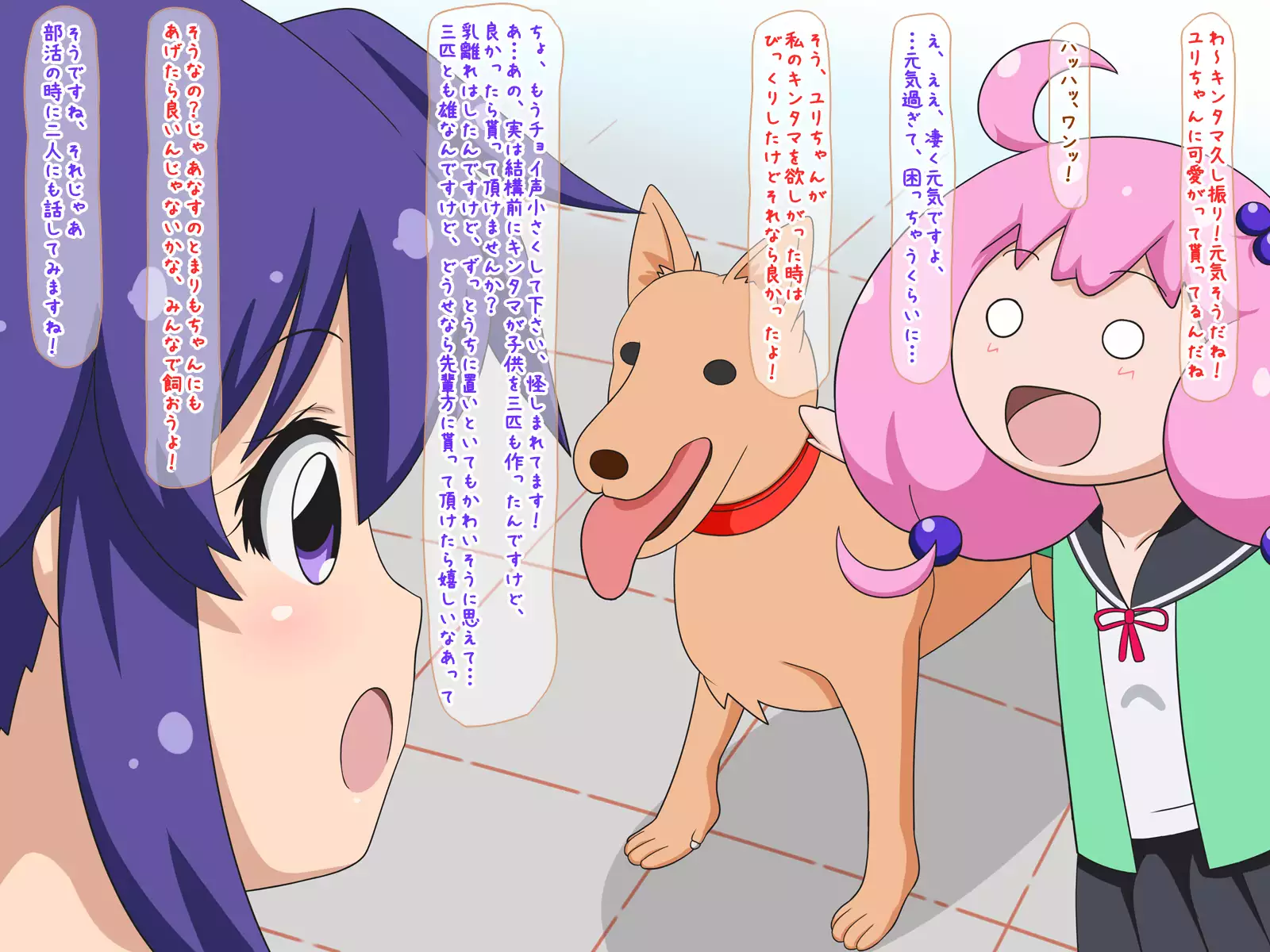 Dog F*ck Sensaaaation!