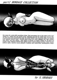 (C40) [STUDIO SHARAKU (Sharaku Seiya)] SHARAKU SPECIAL (Various)