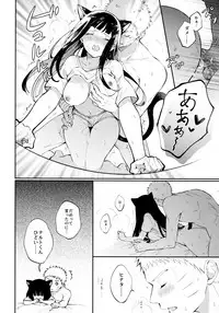 My Sweet Little Kitty