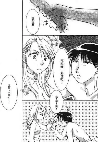 Fullmetal Alchemist 6