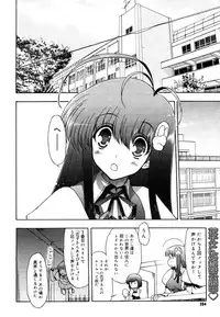 COMIC Megastore 2006-08