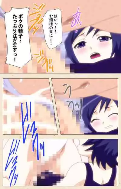 Otokonoko Ojou-sama Hikari to Ayana no Himitsu Collection