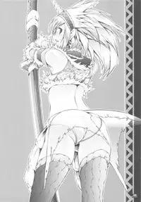 (C78) [Fujiya Honten (Thomas)] Hunter's Bible (Monster Hunter)