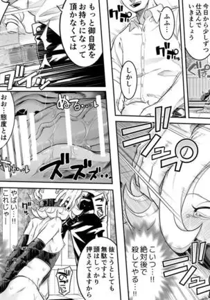 Kachou Seidorei Choukyou II