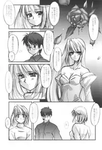 [ARE. (Harukaze Do-jin)] Fly through the night (Tsukihime)