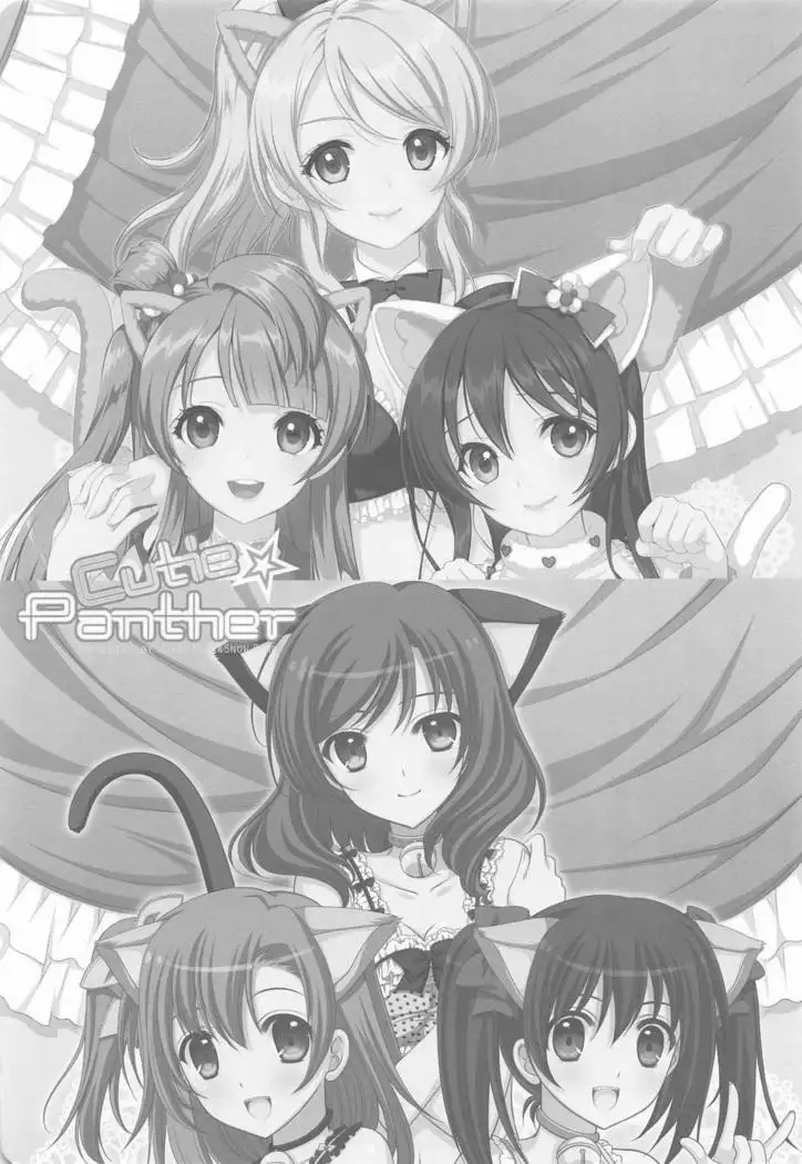 Cutie Panther