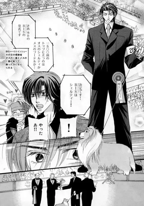 b-BOY Phoenix Vol.3 Tsundere Tokushuu