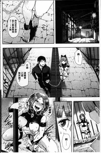 [Shomu] Fall In The Dark [Chinese]