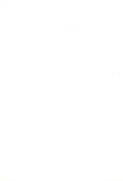 Sukumizu Hiyakeato-zoku 2009