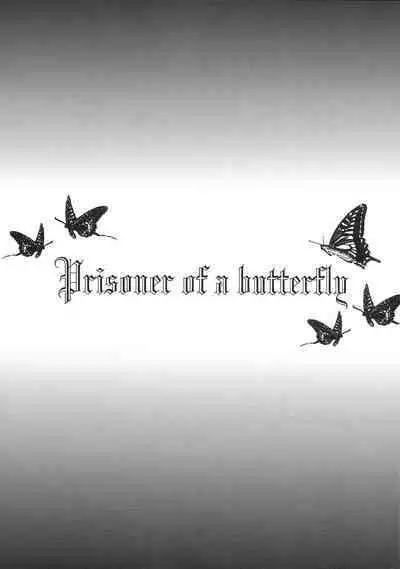 Prisoner of a Butterfly