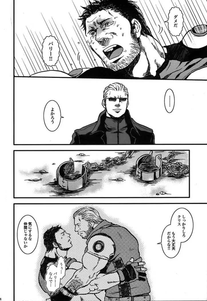BIOHAZARD dj – The MERCENARIES