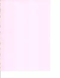 (Daikyuushuu Touhousai 6) [CUNICULUS (Yositama)] Ikunin (Touhou Project)