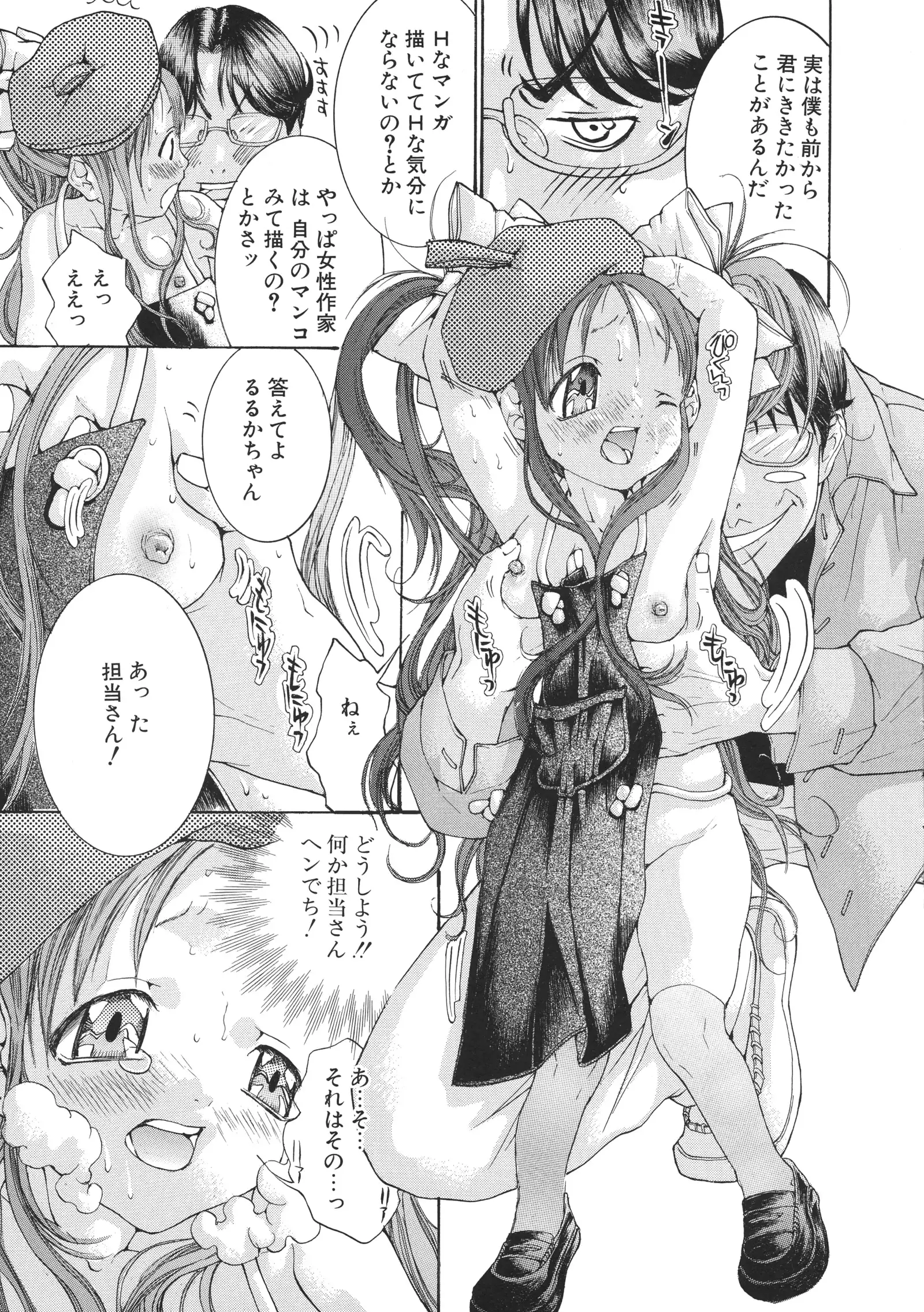 Miyazaki Maya Daizukan EX Deluxe Special