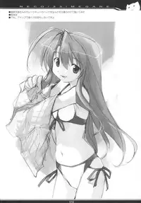 (C66) [PEACE MAKER (E=MC2)] NECO/33/MEGANE