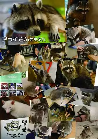 may Kemono Friends Thre Goudoushi 2