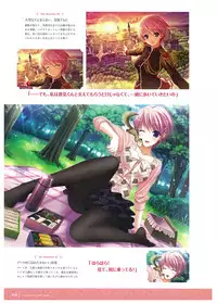 Walkure Romanze Visual Fan Book