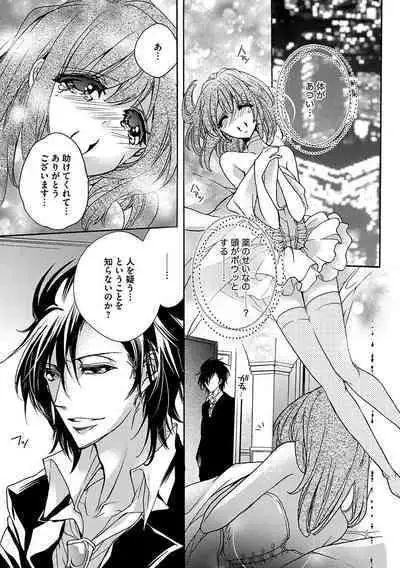 鬼畜兄弟の悶絶調教~私はいいなり奴隷~