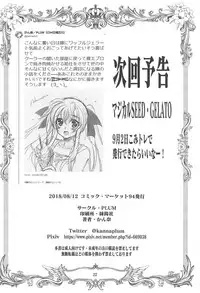 (C94) [PLUM (Kanna)] Magical SEED MAID (Mahou Shoujo Lyrical Nanoha)