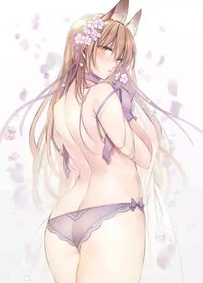 Irui Konintan Soushuuhen