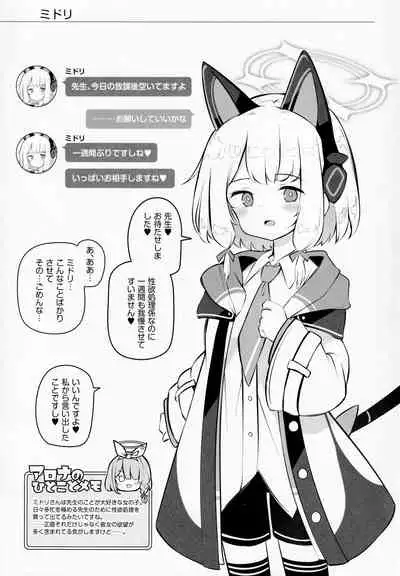 Kivotos Child-making Activity Report