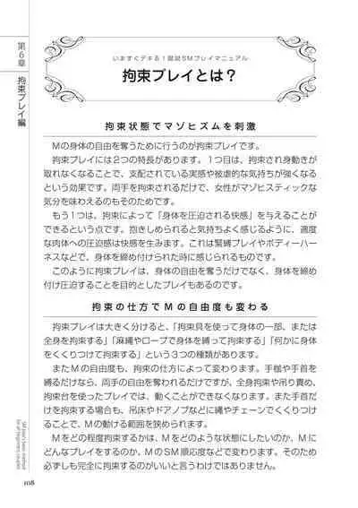 いますぐデキる 図説SMプレイマニュアル