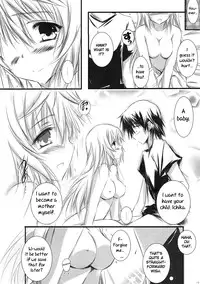 (C81) [SONIC WINTER (Tsukishima Kai)] Carol (Infinite Stratos) [English]