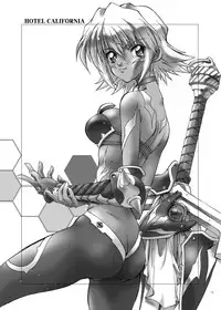 [Hotel California (Natsuno Suika)] GAME OVER\ (Fate/stay night, .hack) [Digital]