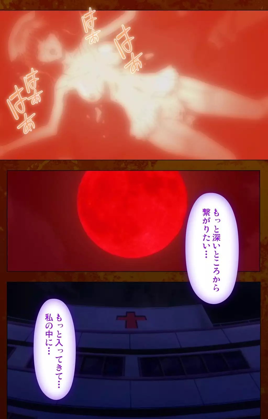 Anata no Shiranai Kangofu Kouhen Complete Ban