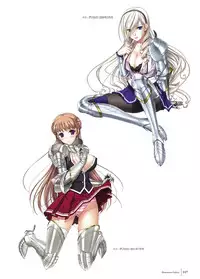 Walkure Romanze Visual Fan Book