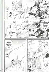 (C66) [PONCHEES (Kari) (Irohane Sui)] PIKA☆☆NCHI (Bleach) [English]