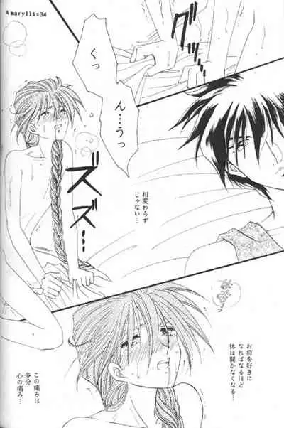 [Youkai Club (Hazuki Younosuke)] Amaryllis (Gundam Wing)