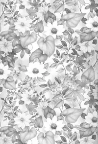 (C58) [Kyougetsutei (Miyashita Miki)] CARDCAPTOR SAKURACHANG! (Cardcaptor Sakura)