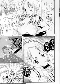 (C63) [EVOLUTION BRAND] Koki no Tane (One Piece)