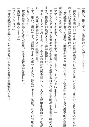 年上メイドの新婚日記