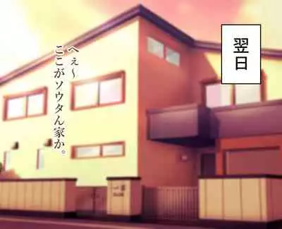 daisukina okāsan o daikiraina aitsura ni netoraremashita .