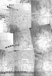 (C91) [RiceCandy (Okome)] MAD PRISM The Night Warrior (PriPara)