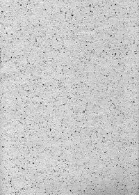 [Urawa Anime Festa] Urawa Special Hayate Ruri Densetsu (Nadesico)