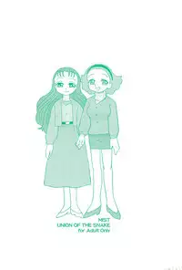 (C65) [UNION OF THE SNAKE (Shinda Mane)] MIST (Kasumin)