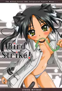 (C77) [Terra Drive (Teira)] Bird Strike! (Strike Witches)
