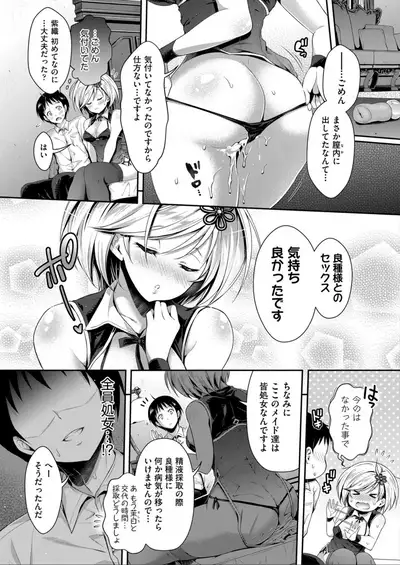 Harem Maid No Damedame Ecchi