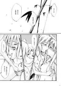 [碧弐の一羽] 永夜-永遠亭-