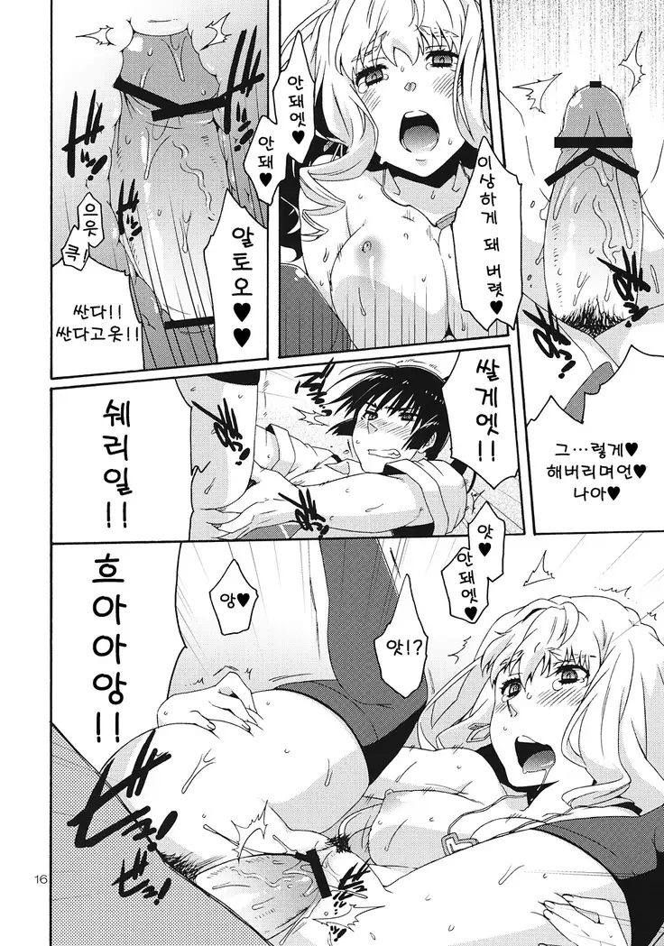 XXX Macross Frontier Fan Book No.5