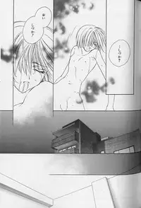 [Sakura Ashika] Himitsu No Kemonotachi