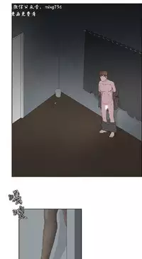 私生,爱到疯狂 完结