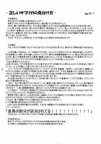 (SC24) [Imitation Genome (Sasakura Ayato)] Bokura no Mithra (Final Fantasy XI)