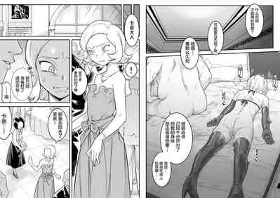 [Shine Nabyss] Kachou Seidorei Choukyou II (Hunter x Hunter)[Chinese]